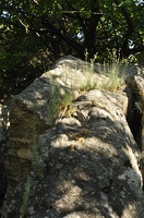 Caroux-Gorges