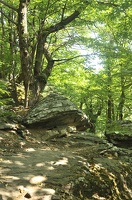 Caroux-Gorges