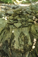Caroux-Gorges