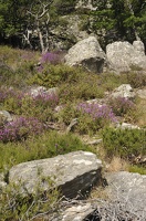 Caroux-Gorges