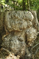 Caroux-Gorges