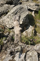 Caroux-Gorges