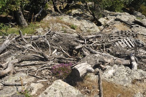 Caroux-Gorges