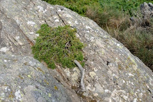 Caroux-Gorges