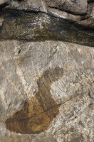 Caroux-Gorges