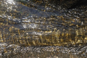 Caroux-Gorges