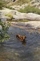 Caroux-Gorges