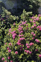  DSC6505 1