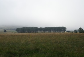 lac de matemal 01