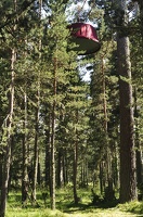 lac de matemal 09