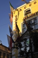  DSC2585