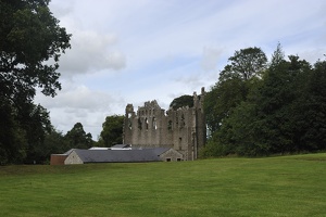  DSC2624