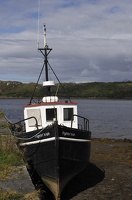  DSC3438
