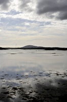  DSC3461