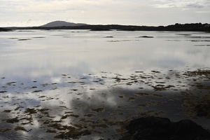 DSC3463
