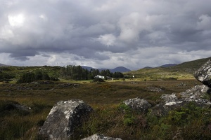  DSC3470