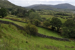  DSC3541