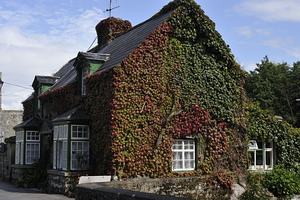  DSC3623