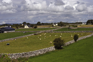  DSC3636