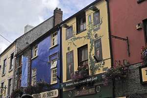  DSC3664