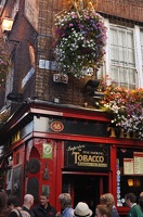  DSC4007