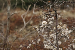  DSC5307