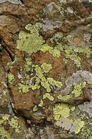  DSC5339