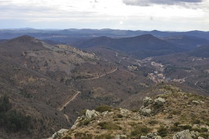  DSC5345