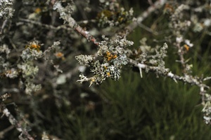  DSC5365
