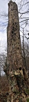  DSC5398 stitch