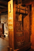 DSC 5343
