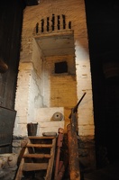 DSC 5488