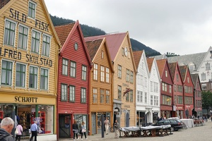 DSC 5275