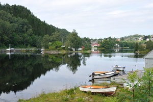 DSC 5566 1