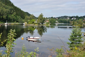 DSC 5575 1