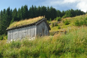 DSC 5700 1