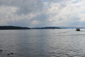 DSC 6161