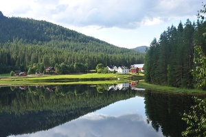 DSC 4996