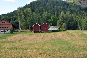 DSC 5010