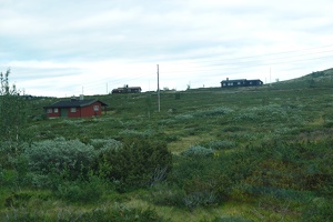 DSC 5048