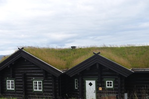 DSC 5055