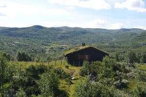 DSC 5059