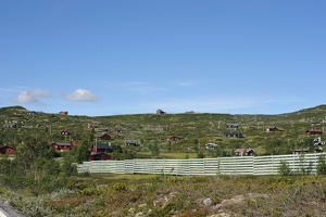 DSC 5064