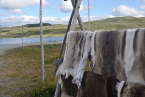 DSC 5161