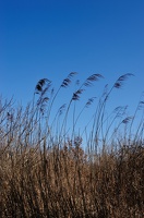  DSC5064