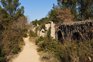  DSC5112