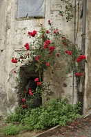  DSC5932 1