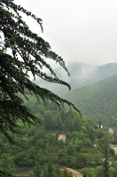  DSC5951 1