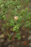  DSC5971 1