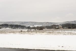  DSC3462